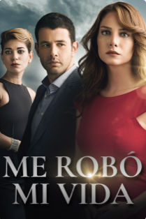 Mi Vida Poster