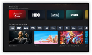 Access your streaming service subscriptions in Sling