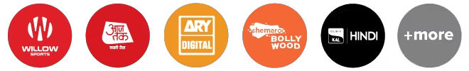 Channels including Willow Sports, ARY Digital, Shemaroo Bollywood, and more