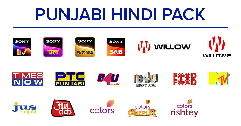 Punjabi Hindi channels