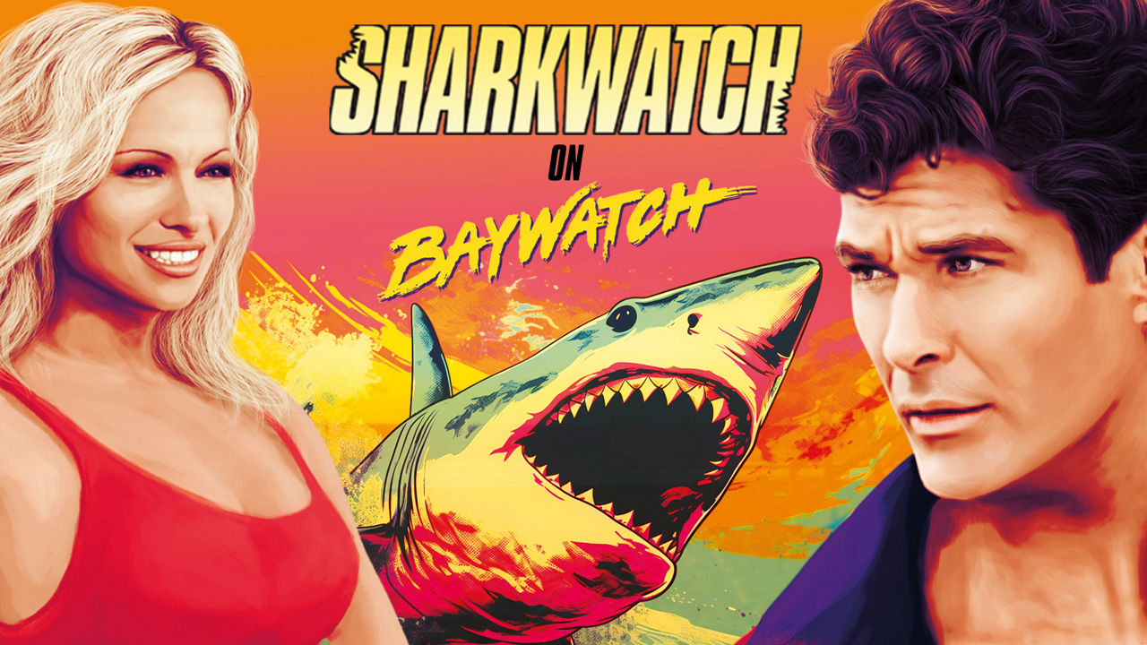 Sharkwatch on Baywatch