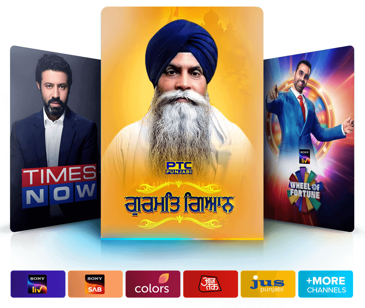 Watch Punjabi + Hindi programs like Times Now and Wheel of Fortune.