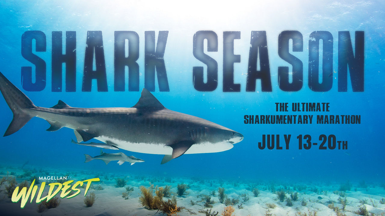Shark Season: The Ultimate Sharkumentary Marathon, July 13-20