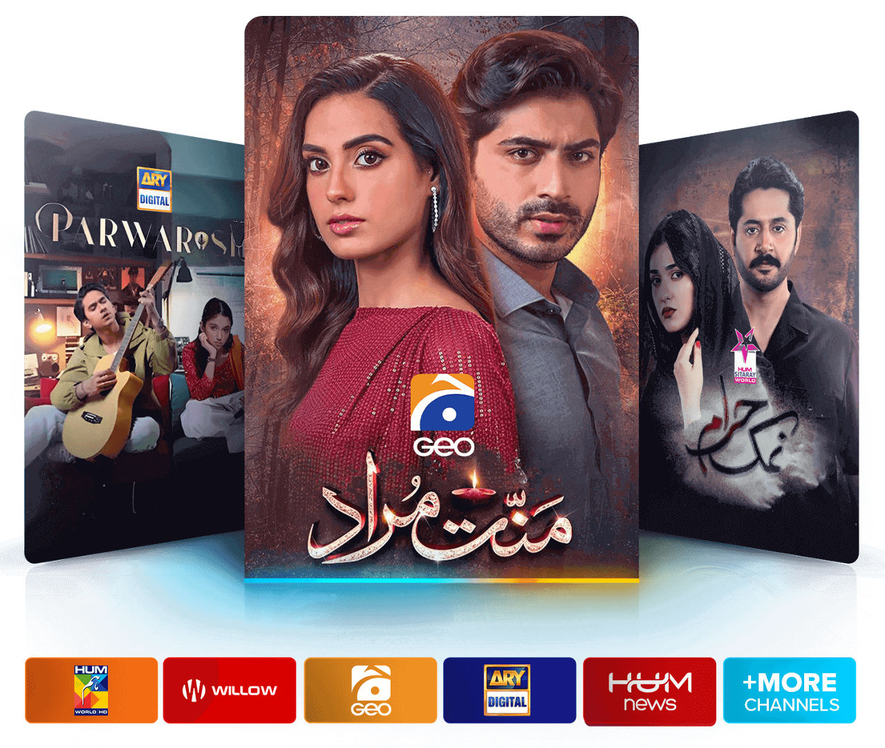 Watch popular Urdu programming, including live cricket!