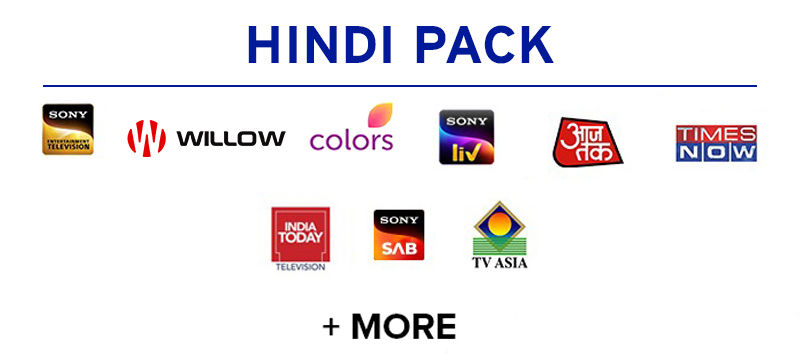 Hindi channel logos.