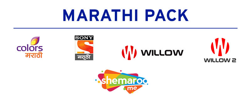 Marathi channel logos.